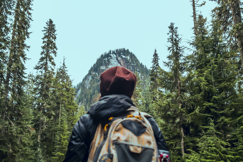 Person Standing In Front Of Pine Trees